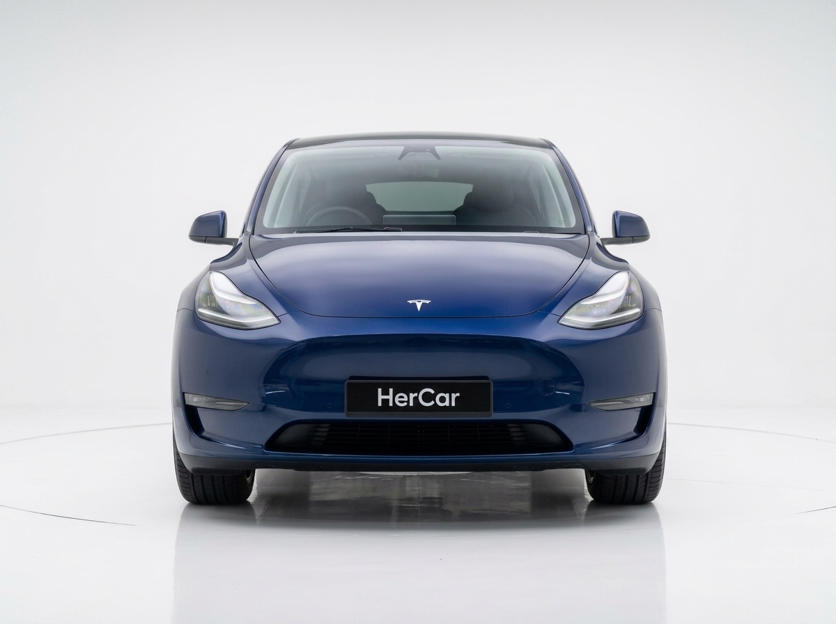Tesla Model Y Electric Performance